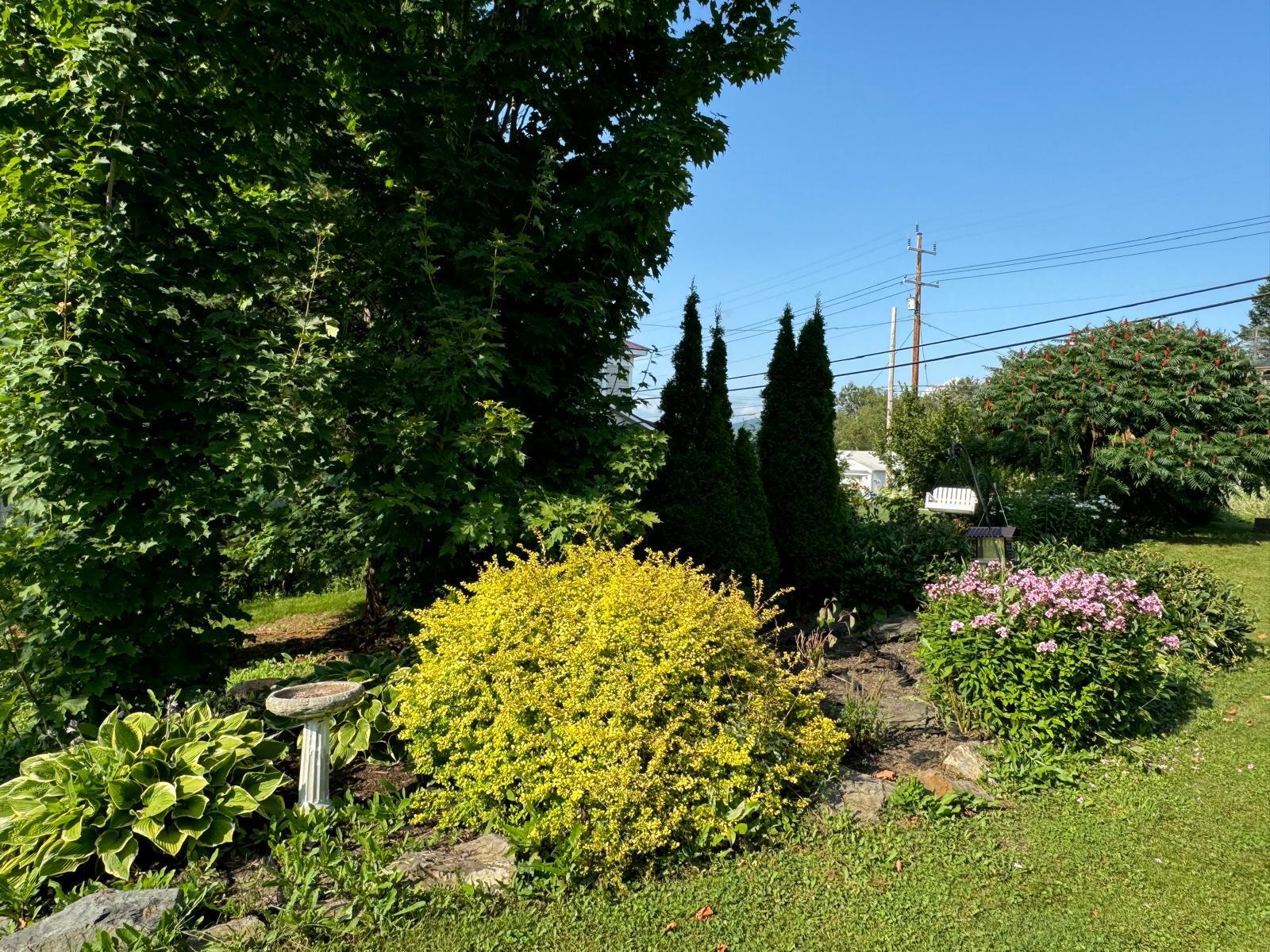 41 Military Road Blaine, ME 04734 - Photo 14 of 56 WhatsApp Image 2024-07-25 at 22.06.58 (3