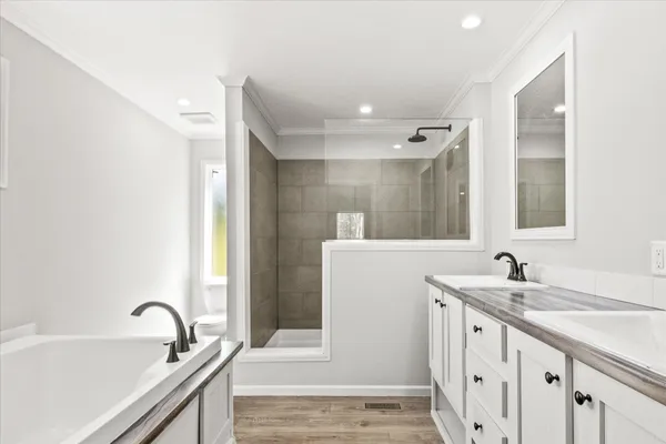 a bathroom with a double vanity sink and a bathtub