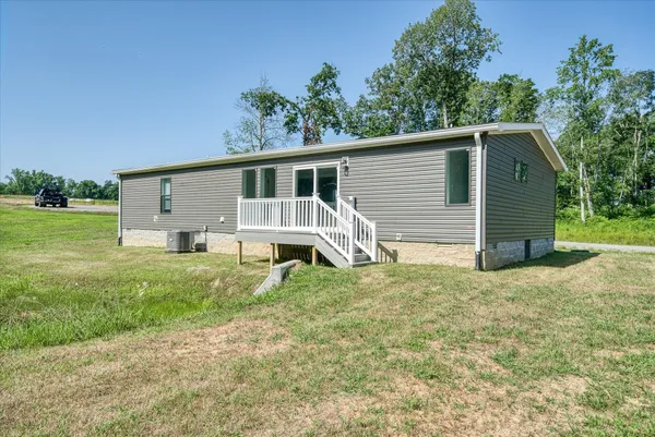 a view of a trees in a yard