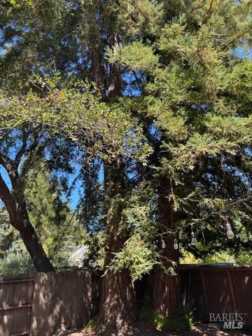 a view of a backyard with large trees