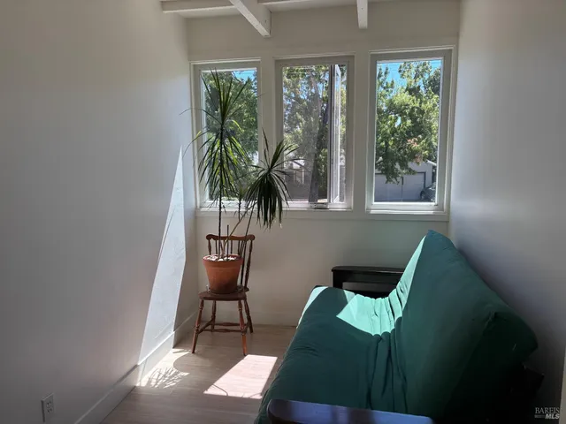 a living room with furniture and a potted plant