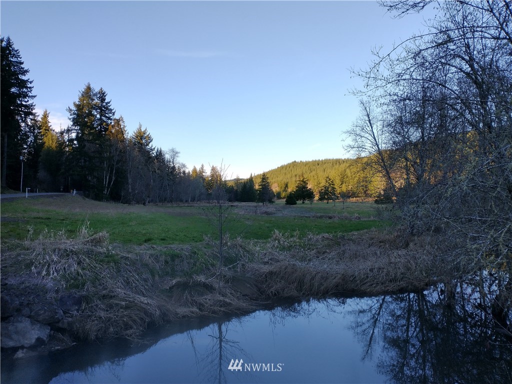 706 Wildwood Road Curtis, WA 98538 - Photo 1 of 31 Gallery Image 1