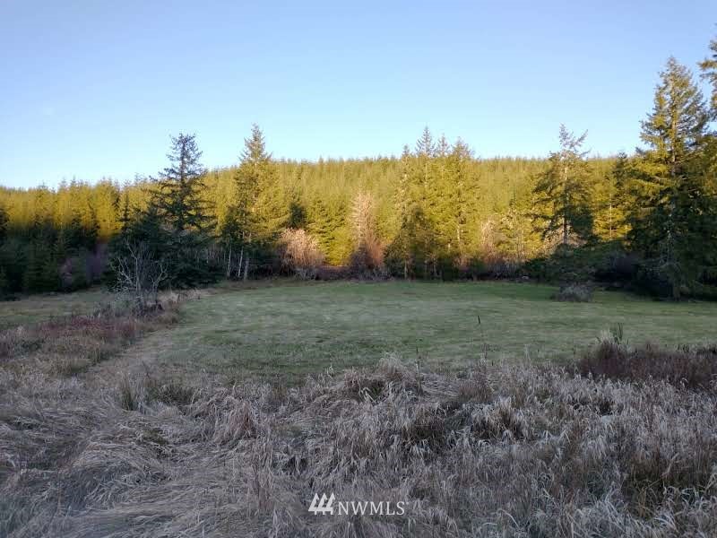 706 Wildwood Road Curtis, WA 98538 - Photo 14 of 31 Gallery Image 14