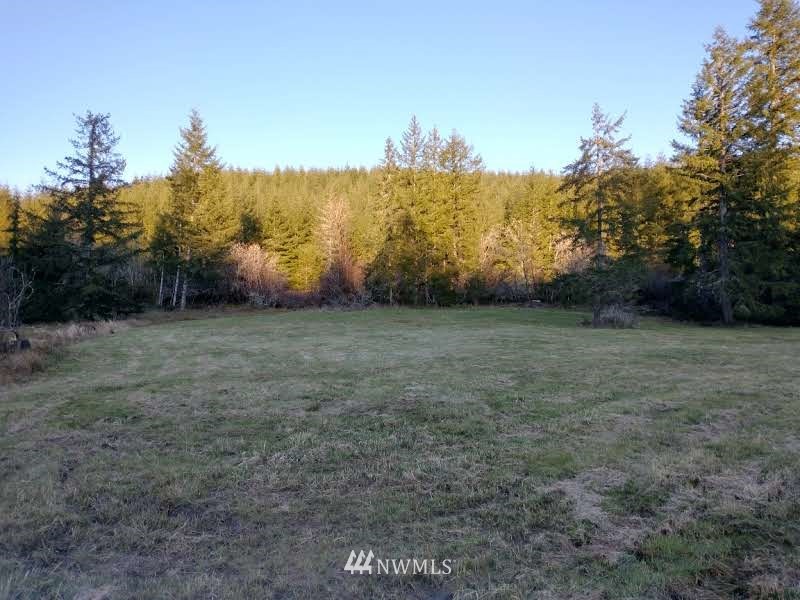 706 Wildwood Road Curtis, WA 98538 - Photo 15 of 31 Gallery Image 15
