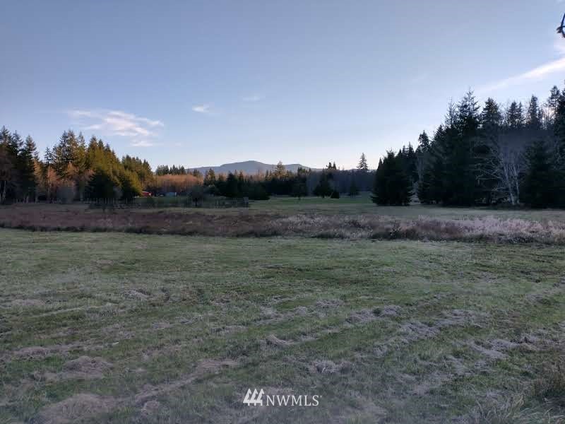 706 Wildwood Road Curtis, WA 98538 - Photo 16 of 31 Gallery Image 16