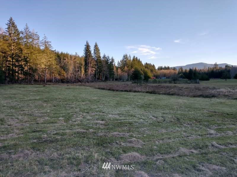 706 Wildwood Road Curtis, WA 98538 - Photo 17 of 31 Gallery Image 17