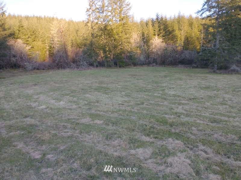 706 Wildwood Road Curtis, WA 98538 - Photo 18 of 31 Gallery Image 18