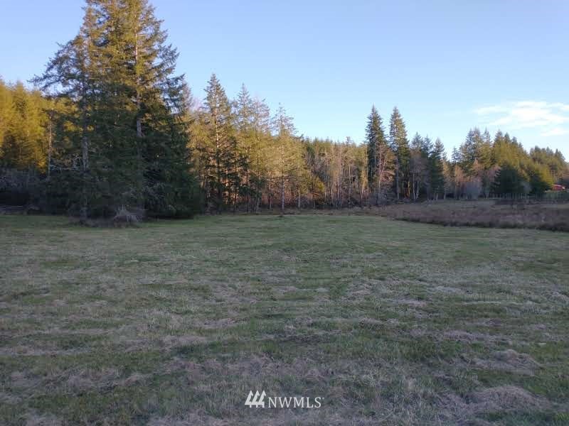 706 Wildwood Road Curtis, WA 98538 - Photo 19 of 31 Gallery Image 19