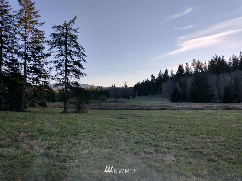 706 Wildwood Road Curtis, WA 98538 - Photo 21 of 31 Gallery Image 21