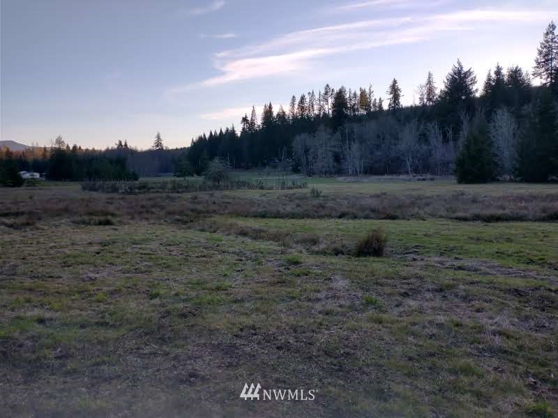 706 Wildwood Road Curtis, WA 98538 - Photo 25 of 31 Gallery Image 25