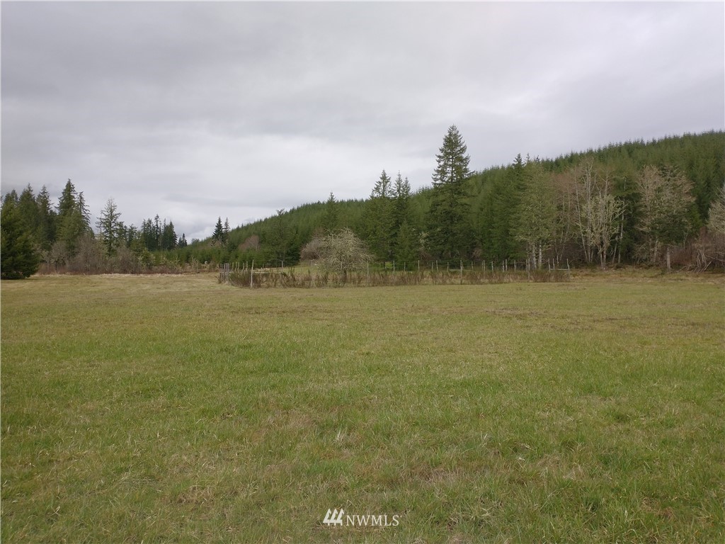 706 Wildwood Road Curtis, WA 98538 - Photo 29 of 31 Gallery Image 29