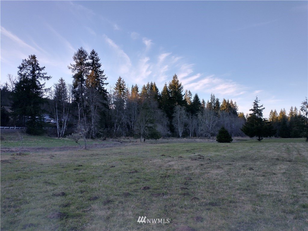 706 Wildwood Road Curtis, WA 98538 - Photo 5 of 31 Gallery Image 5