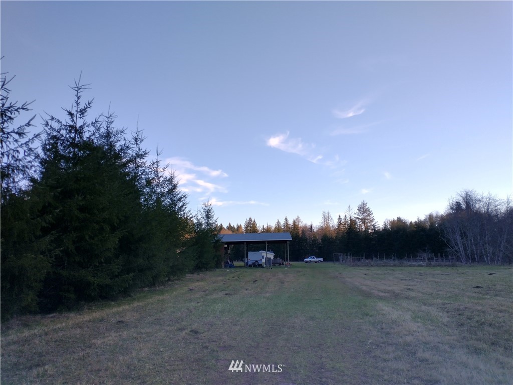 706 Wildwood Road Curtis, WA 98538 - Photo 6 of 31 Gallery Image 6