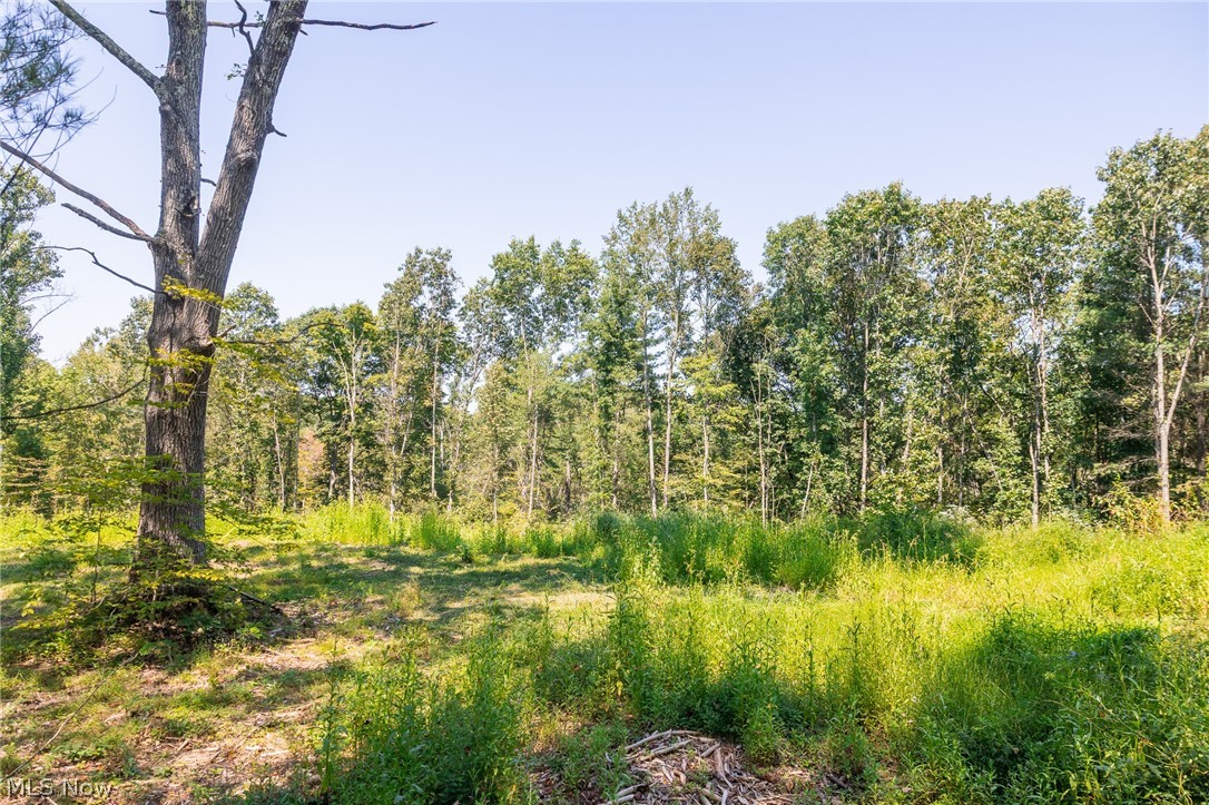 0 County Road Glouster, OH 45732 - Photo 6 of 24 Gallery Image 6