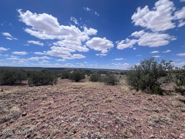 41 Indian Drive Concho, AZ 85924 - Photo 14 of 26 IMG_3679