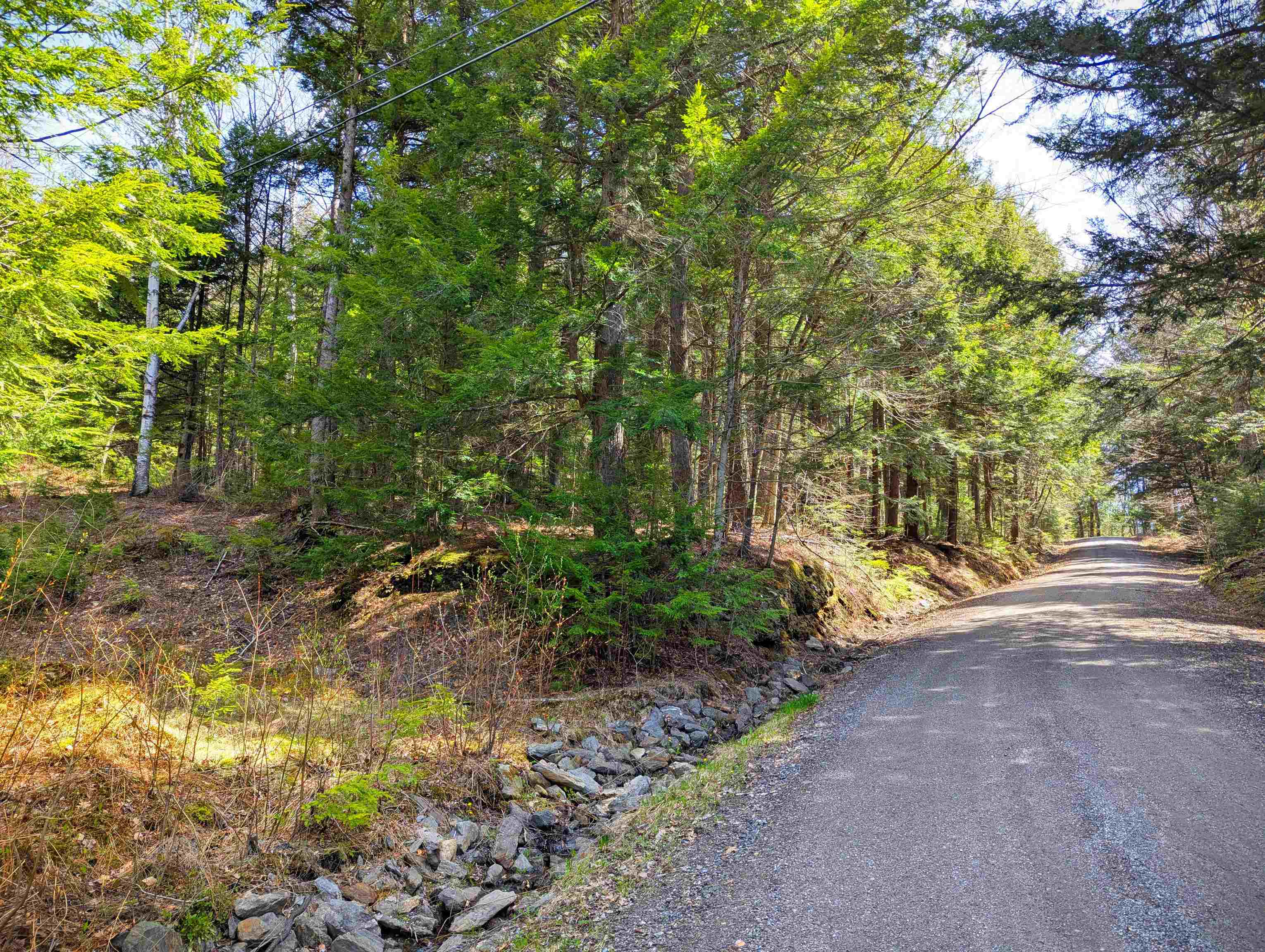Vulture Mountain Road Stockbridge, VT 05772 - Photo 16 of 20