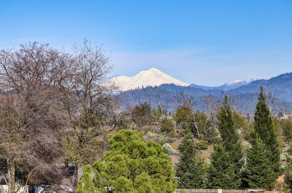 a view of a lot of trees and bushes