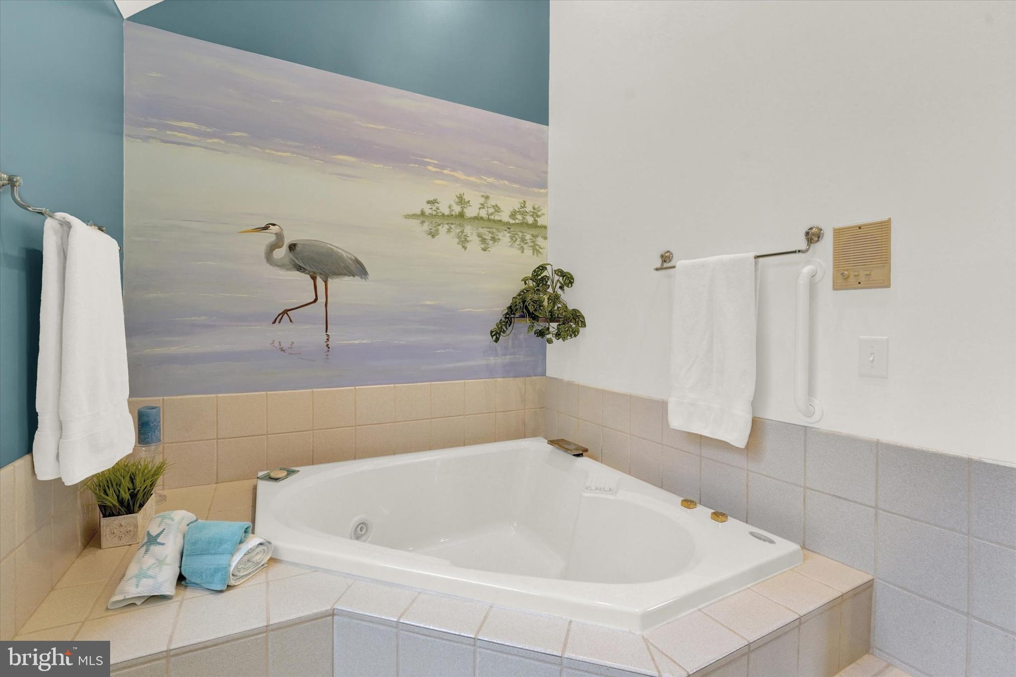 194 North Star Road Newark, DE 19711 - Photo 25 of 53 Jetted Jacuzzi Tub