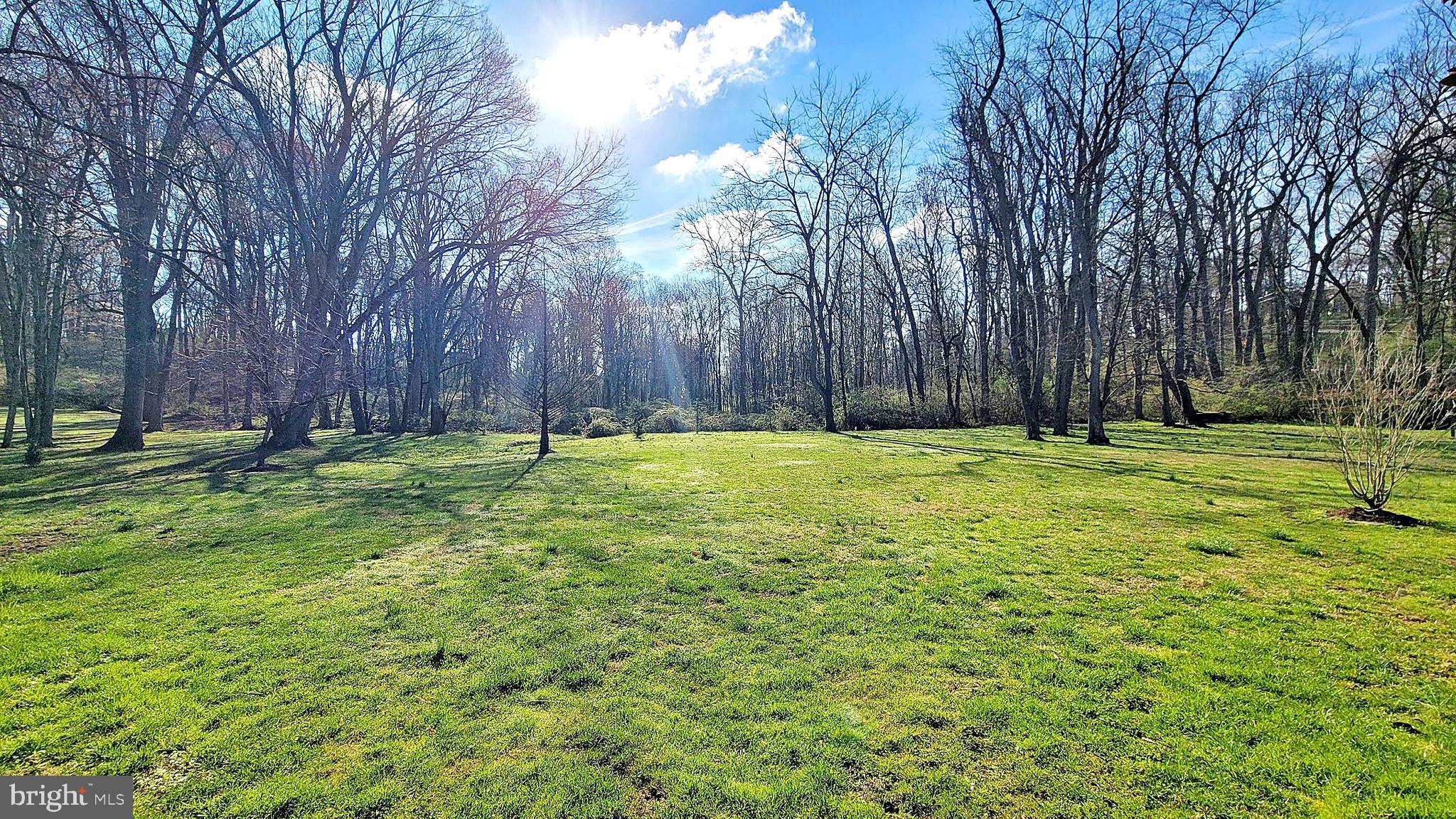 1+ Acres of Nature