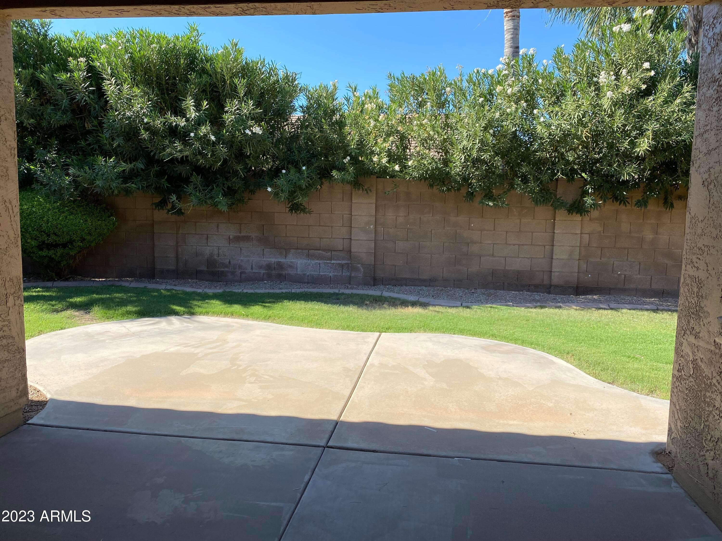 232 West Hawk Way Chandler, AZ 85286 - Photo 15 of 16 a view of a backyard with a large tree and wooden fence