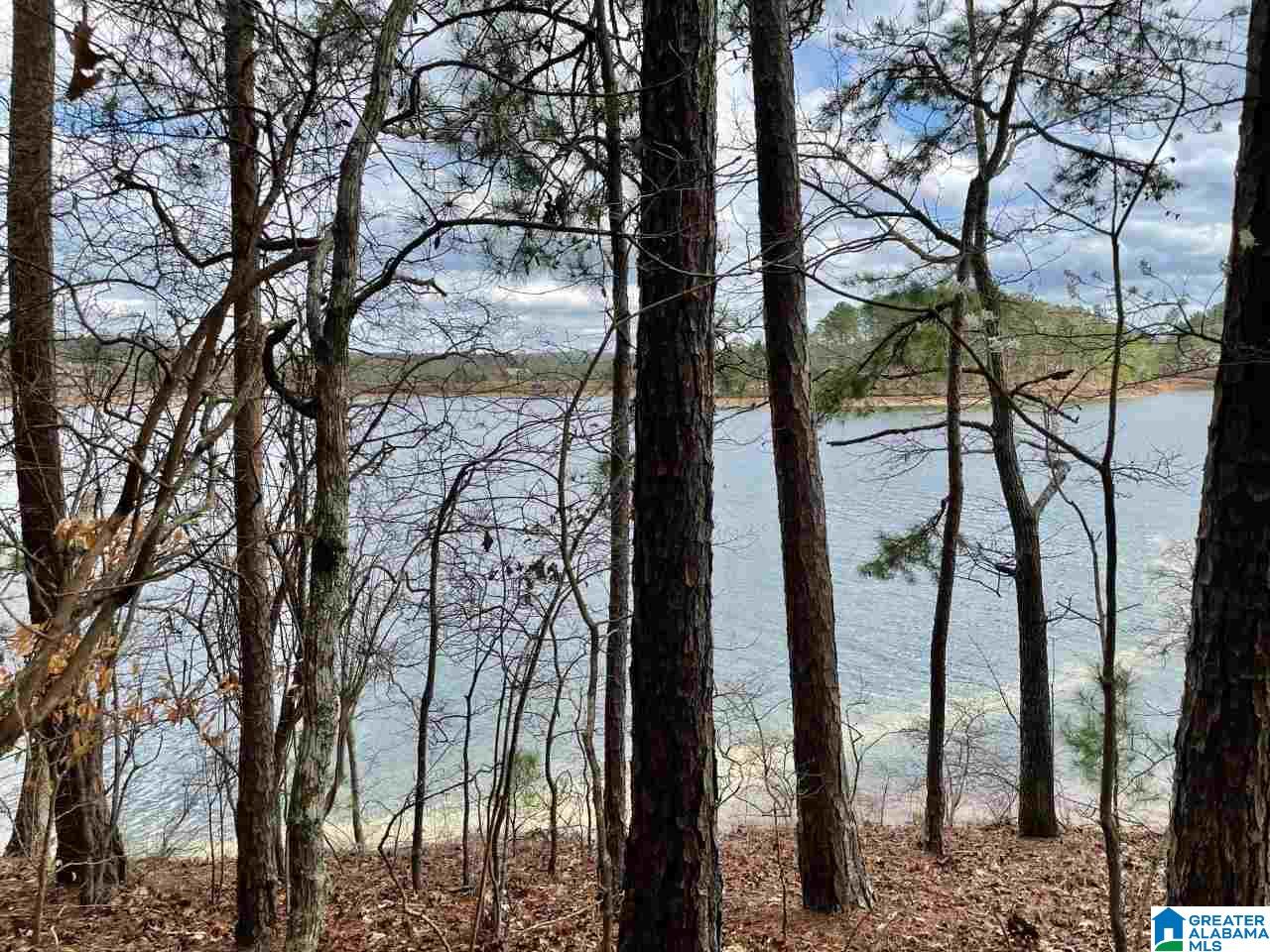 897 County Road, Unit 6 Wedowee, AL 36278 - Photo 4 of 6