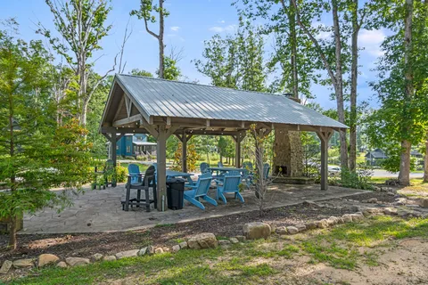 a view of a garden with plants and large trees