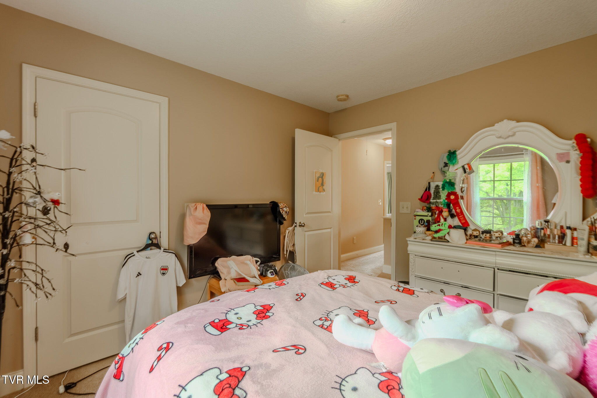 2898 Watauga Road Johnson City, TN 37601 - Photo 23 of 45 10-web-or-mls-_DSC3984-HDR