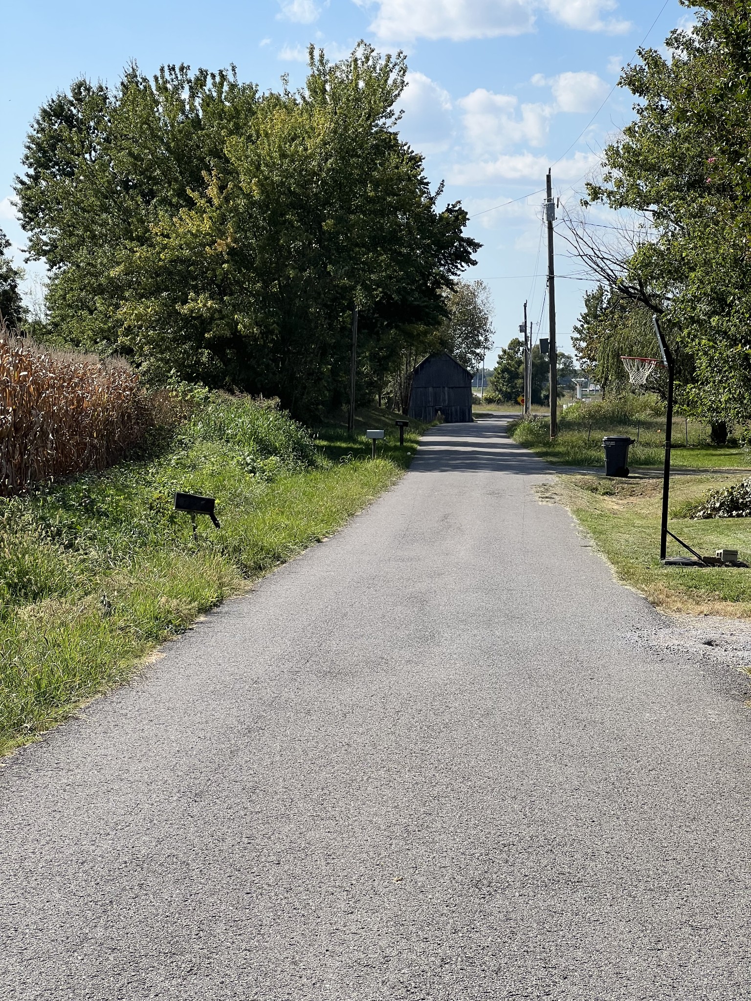 272 Clubbs Road Portland, TN 37148 - Photo 27 of 29 a view of a street with a yard and trees