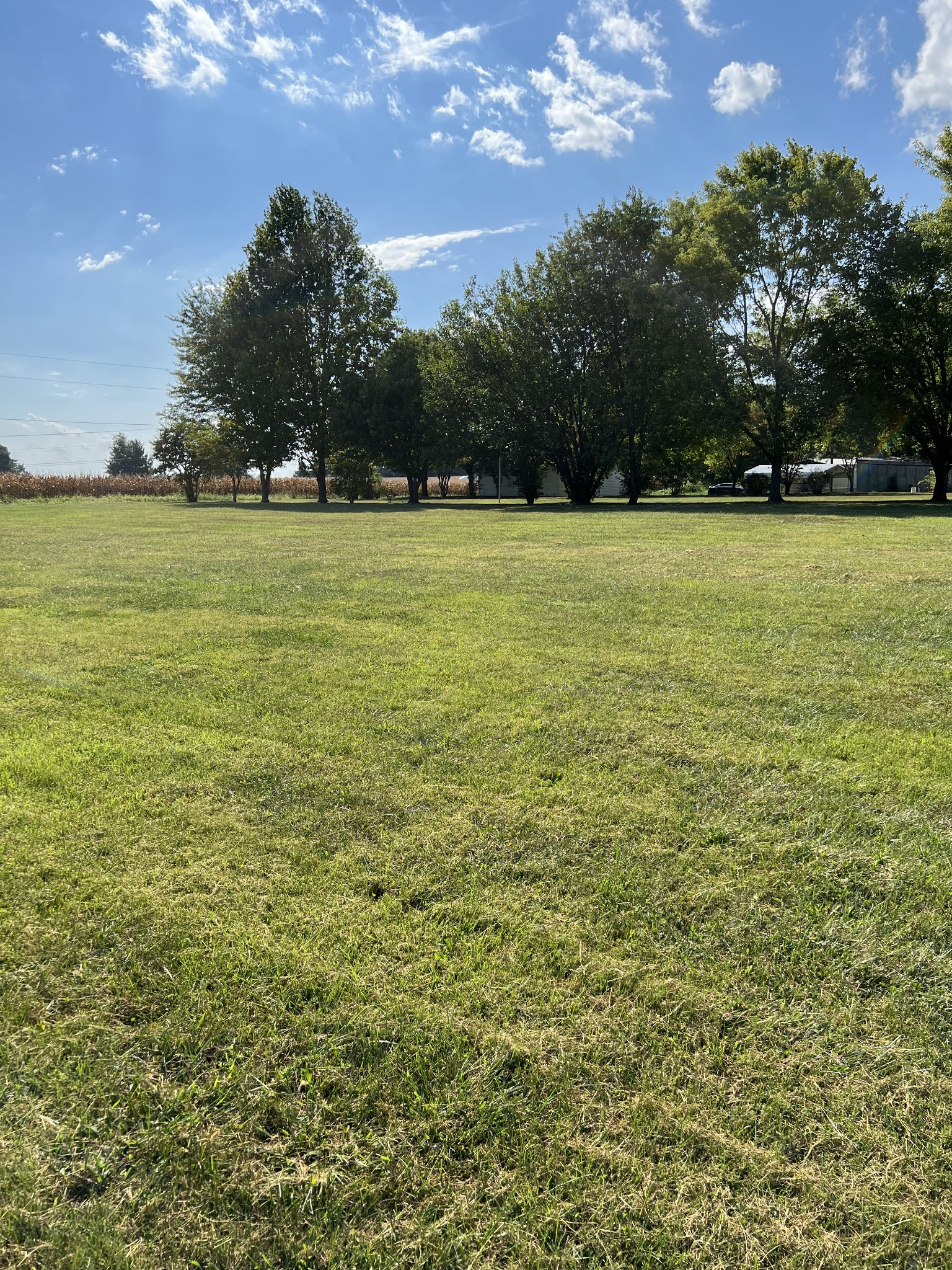 272 Clubbs Road Portland, TN 37148 - Photo 6 of 29 a view of a green field