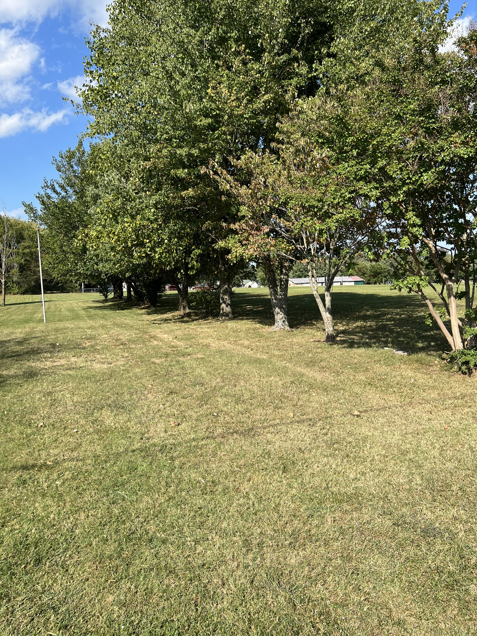 272 Clubbs Road Portland, TN 37148 - Photo 8 of 29 a view of a field with a tree