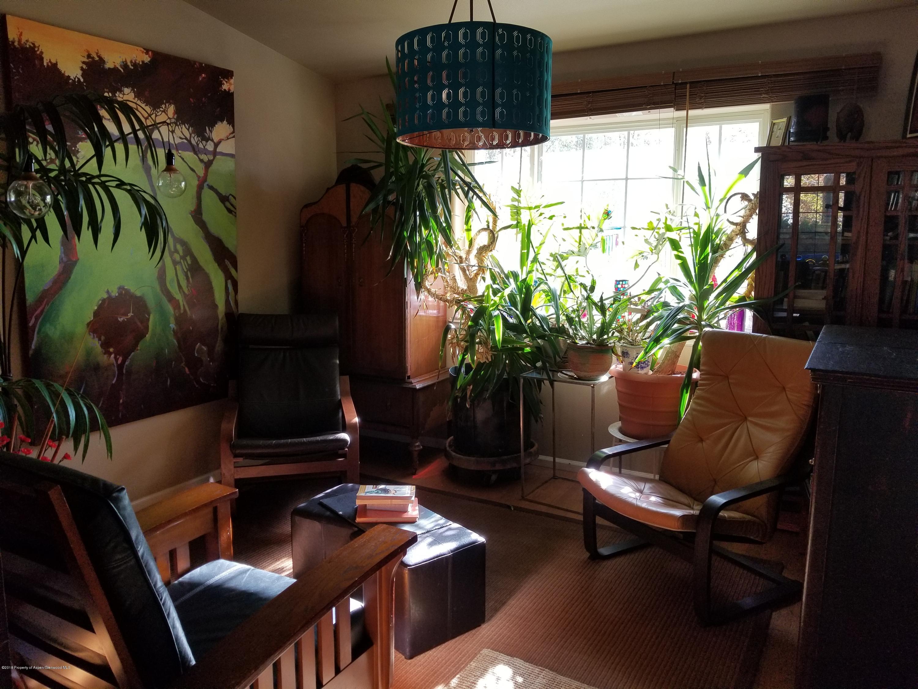 917 Edelweiss Court Rifle, CO 81650 - Photo 4 of 31 a living room with furniture and a potted plant