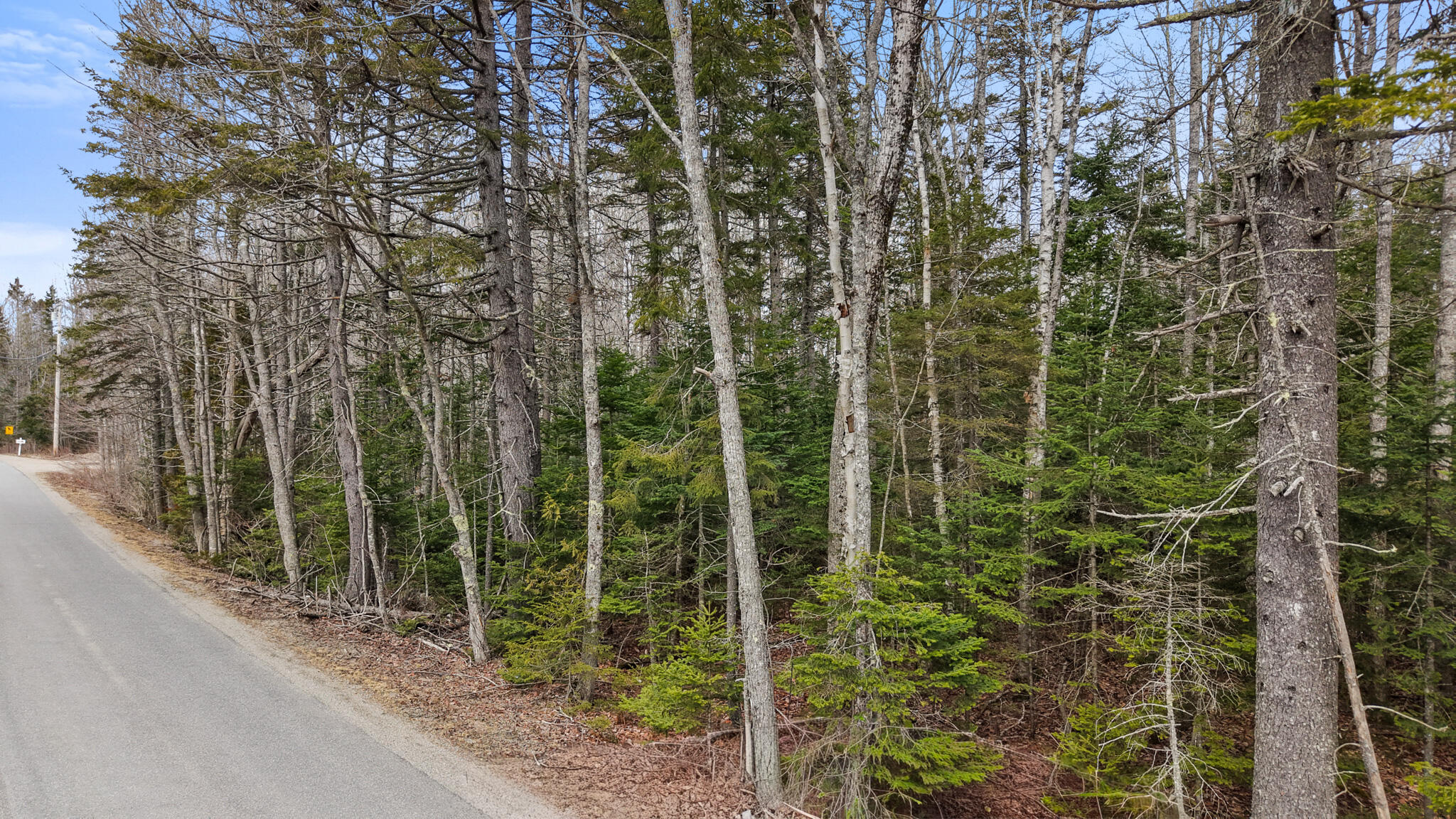 Map23-lot8 Gouldsboro Point Road Gouldsboro, ME 04607 - Photo 4 of 9 Map23Lot8 Gouldsboro Point Road