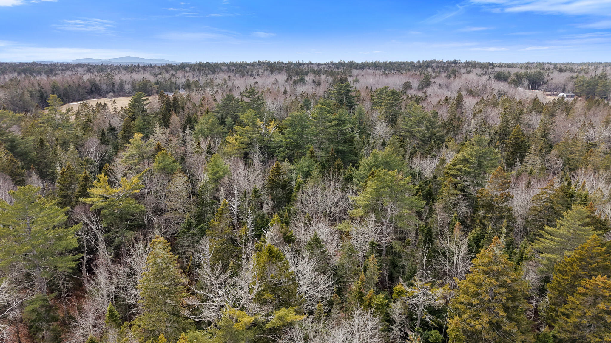 Map23-lot8 Gouldsboro Point Road Gouldsboro, ME 04607 - Photo 5 of 9 Map23Lot8 Gouldsboro Point Road