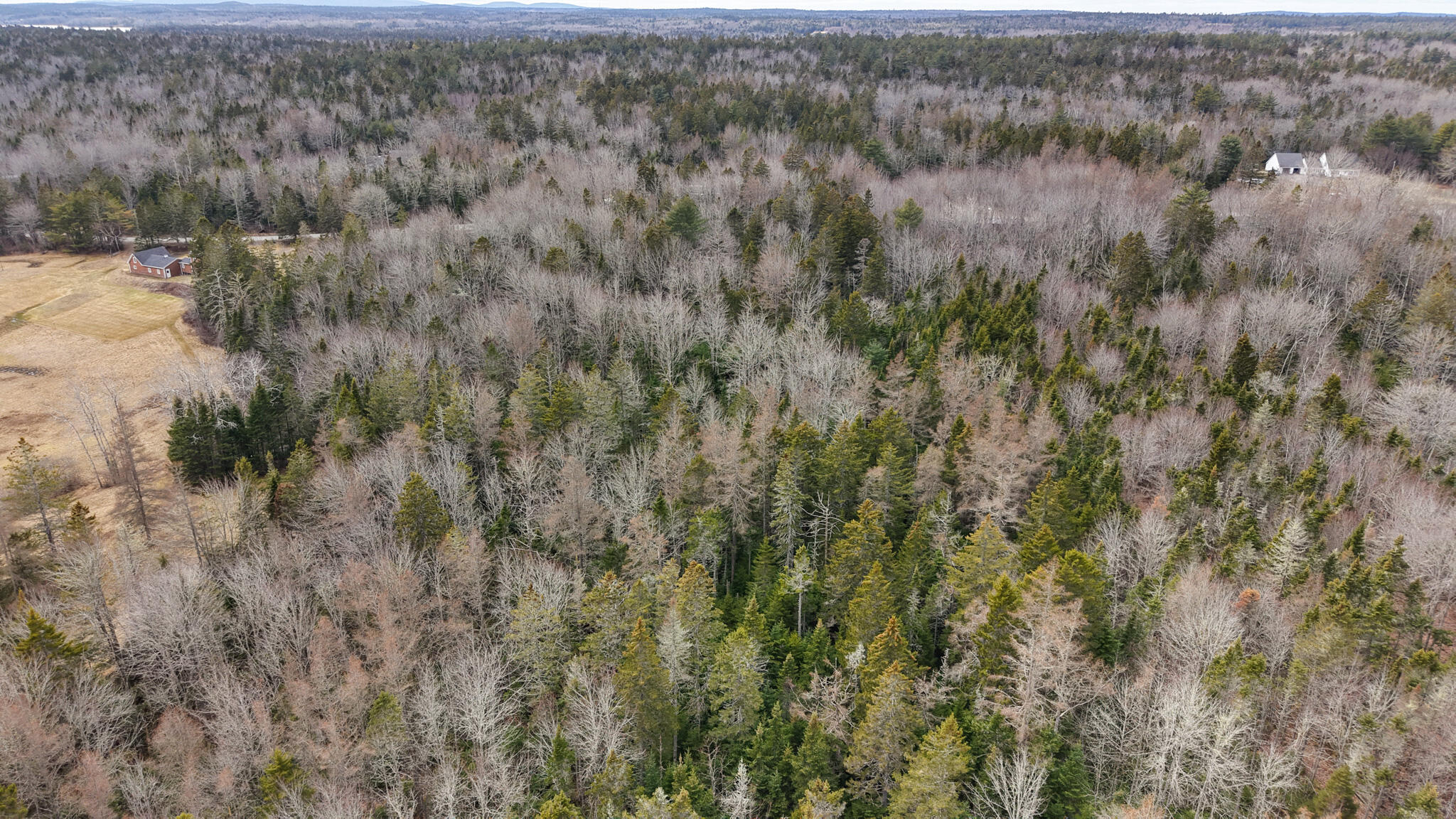 Map23-lot8 Gouldsboro Point Road Gouldsboro, ME 04607 - Photo 6 of 9 Map23Lot8 Gouldsboro Point Road