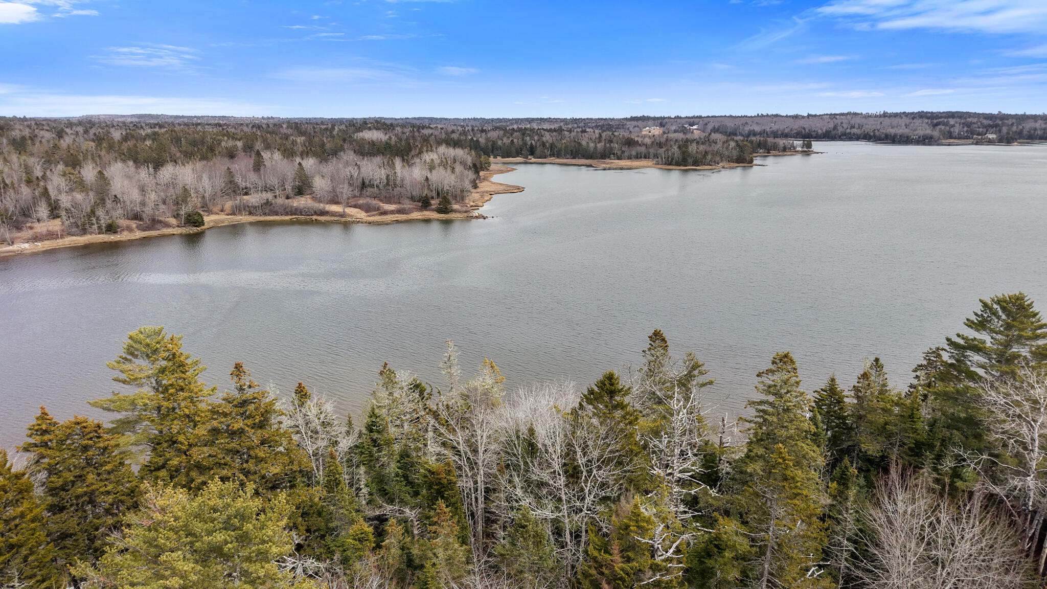 Map23-lot8 Gouldsboro Point Road Gouldsboro, ME 04607 - Photo 7 of 9 Map23Lot8 Gouldsboro Point Road