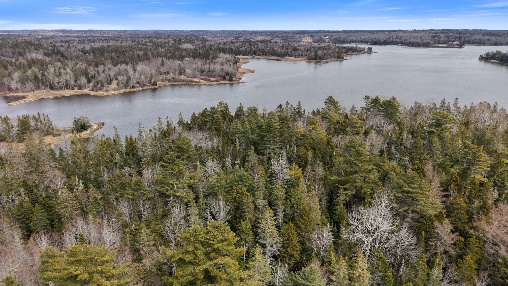 Map23-lot8 Gouldsboro Point Road Gouldsboro, ME 04607 - Photo 8 of 9 Map23Lot8 Gouldsboro Point Road