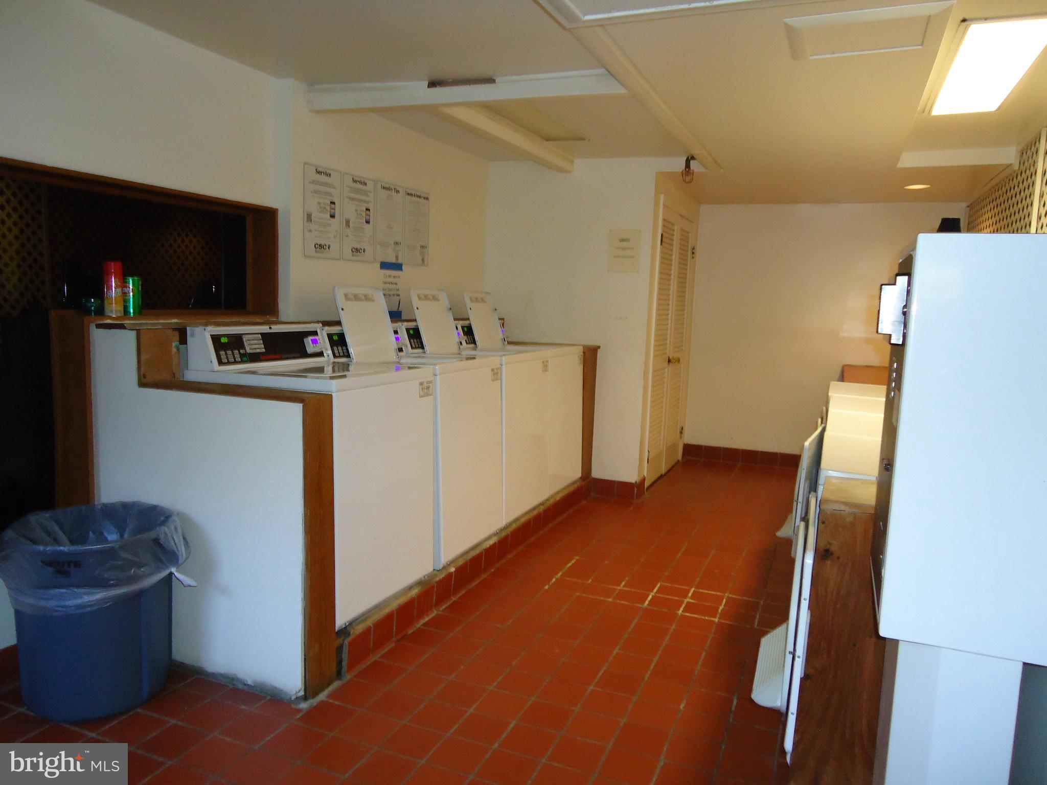 55 Skyhill Road, Unit 303 Alexandria, VA 22314 - Photo 24 of 28 Laundry in basement