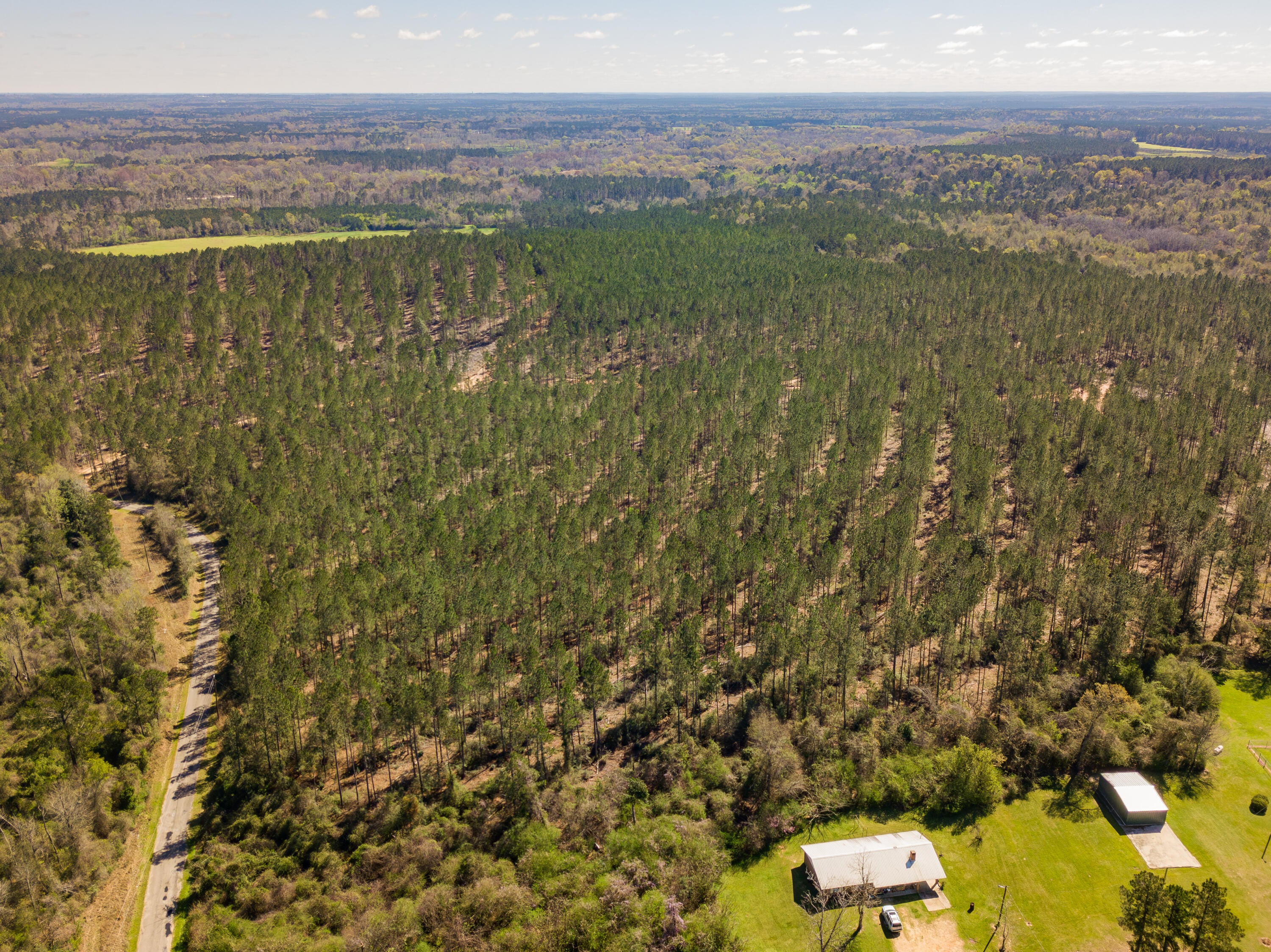 Lot 6 Timothy Road Ellisville, MS 39437 - Photo 20 of 26 Gallery Image 20