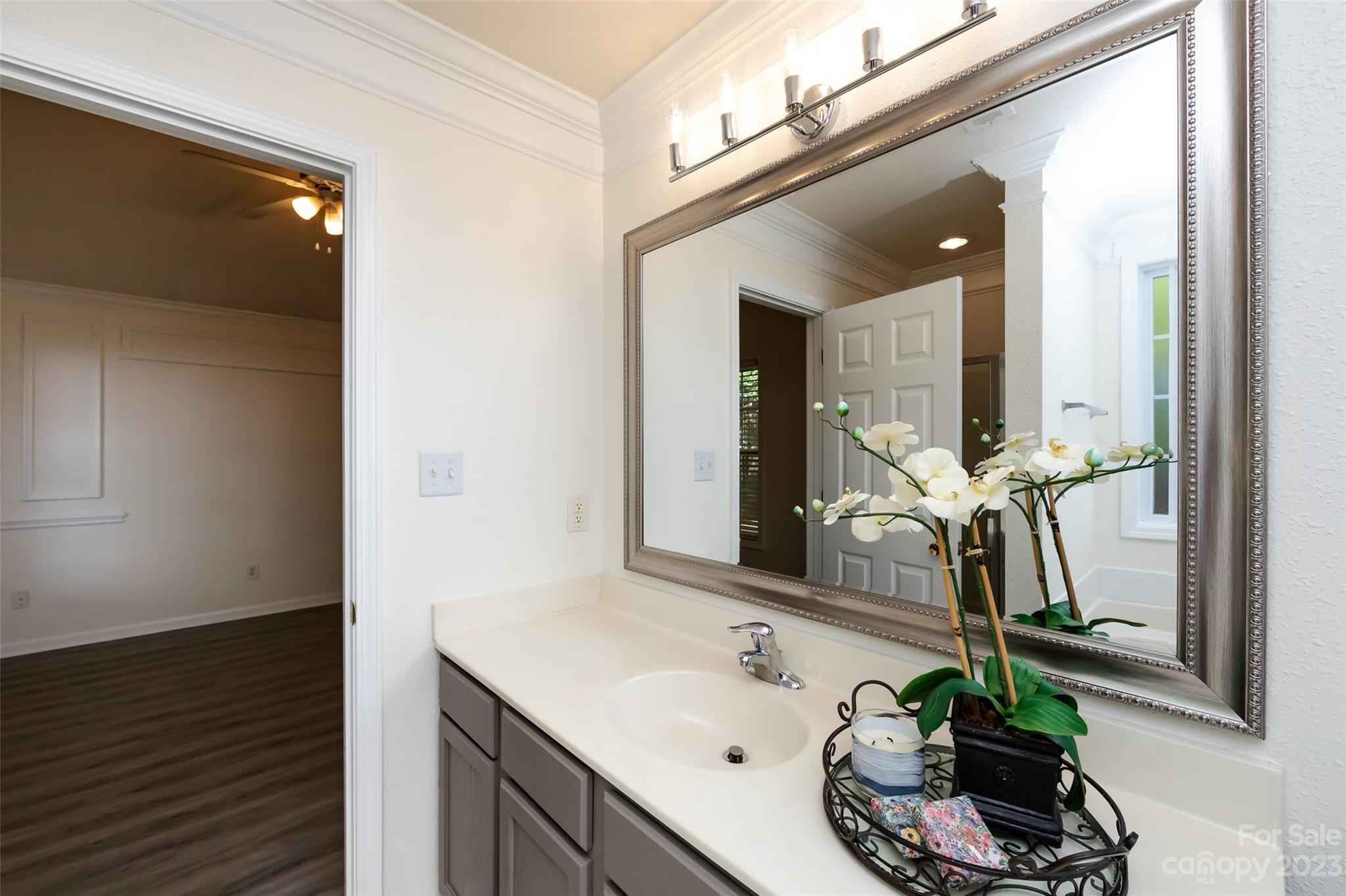 13009 Beddingfield Drive Charlotte, NC 28278 - Photo 20 of 32 a bathroom with a sink and a mirror