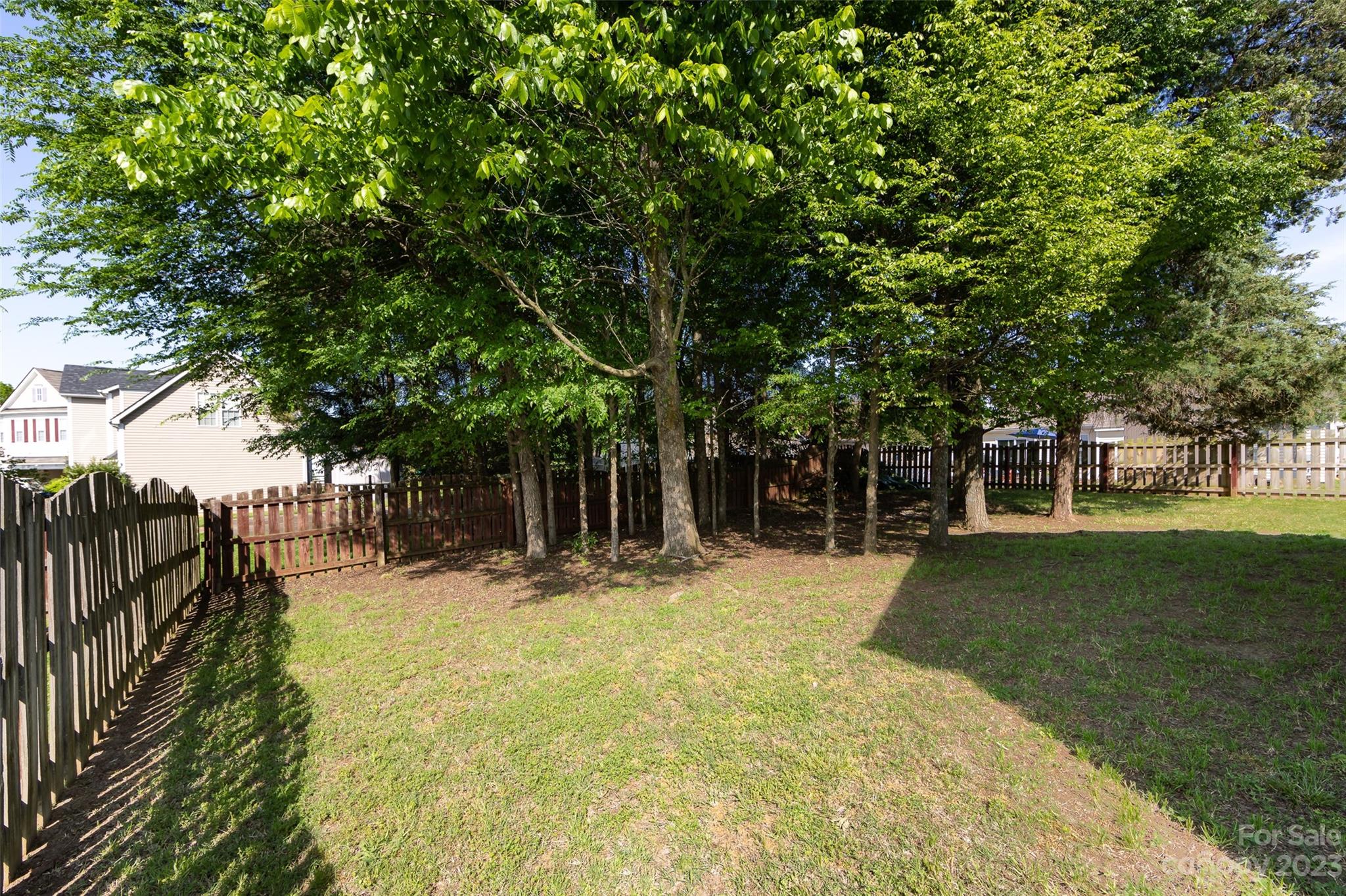 13009 Beddingfield Drive Charlotte, NC 28278 - Photo 29 of 32 a tall tree in middle of a yard