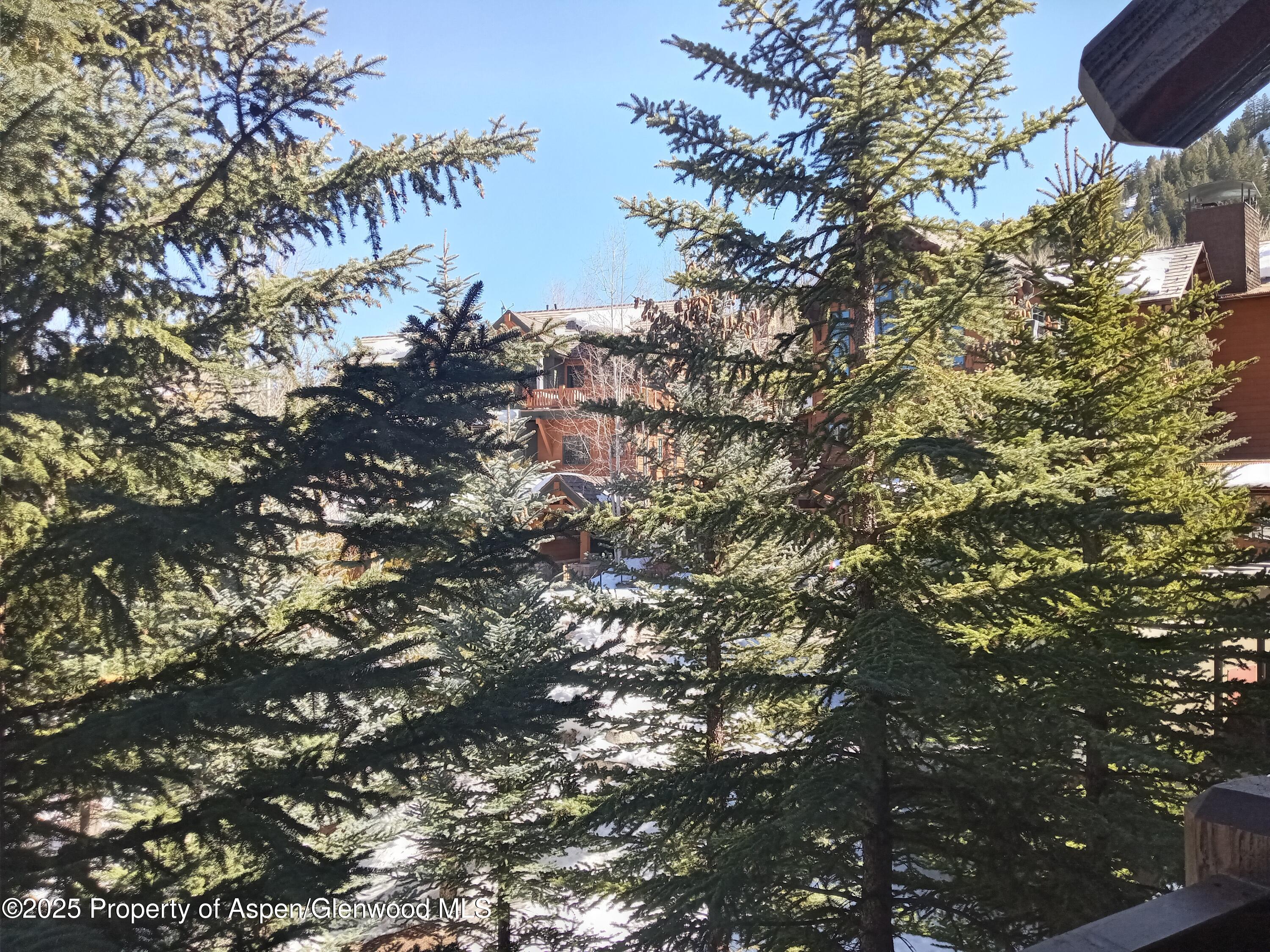 197 Prospector Road, Unit 2310 SUMMER INTEREST #7 Aspen, CO 81611 - Photo 29 of 31 20250301_122617
