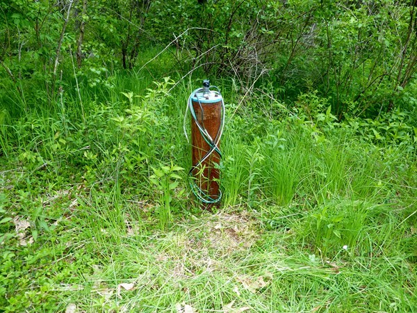30 Town Farm Road North Brookfield, MA 01535 - Photo 6 of 14 a backyard of a house with lots of green space and glass windows