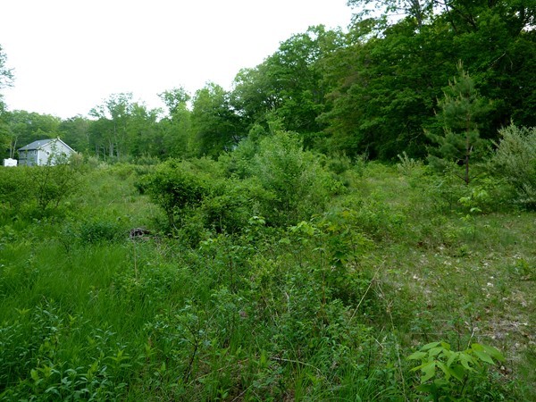 30 Town Farm Road North Brookfield, MA 01535 - Photo 8 of 14 a view of a lush green space