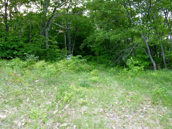 30 Town Farm Road North Brookfield, MA 01535 - Photo 9 of 14 a view of outdoor space and yard