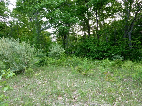 30 Town Farm Road North Brookfield, MA 01535 - Photo 10 of 14 a view of a lush green space