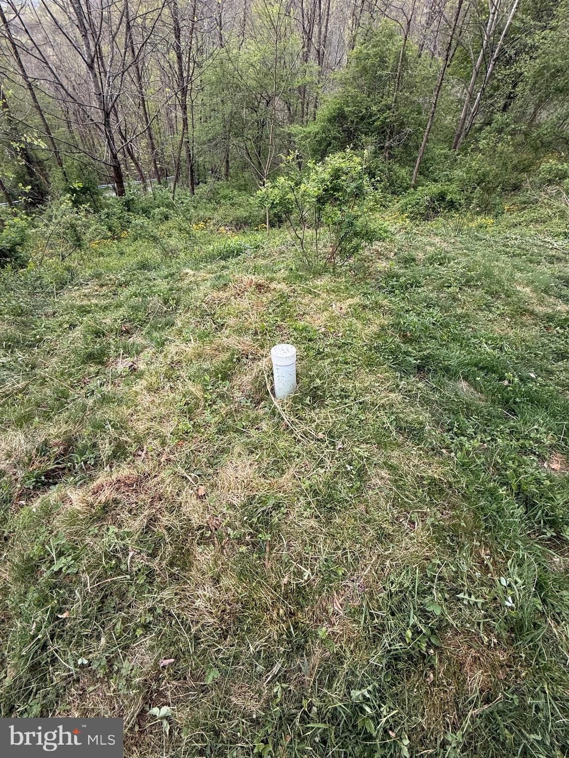 590 Short Cut Road Harman, WV 26270 - Photo 29 of 30
