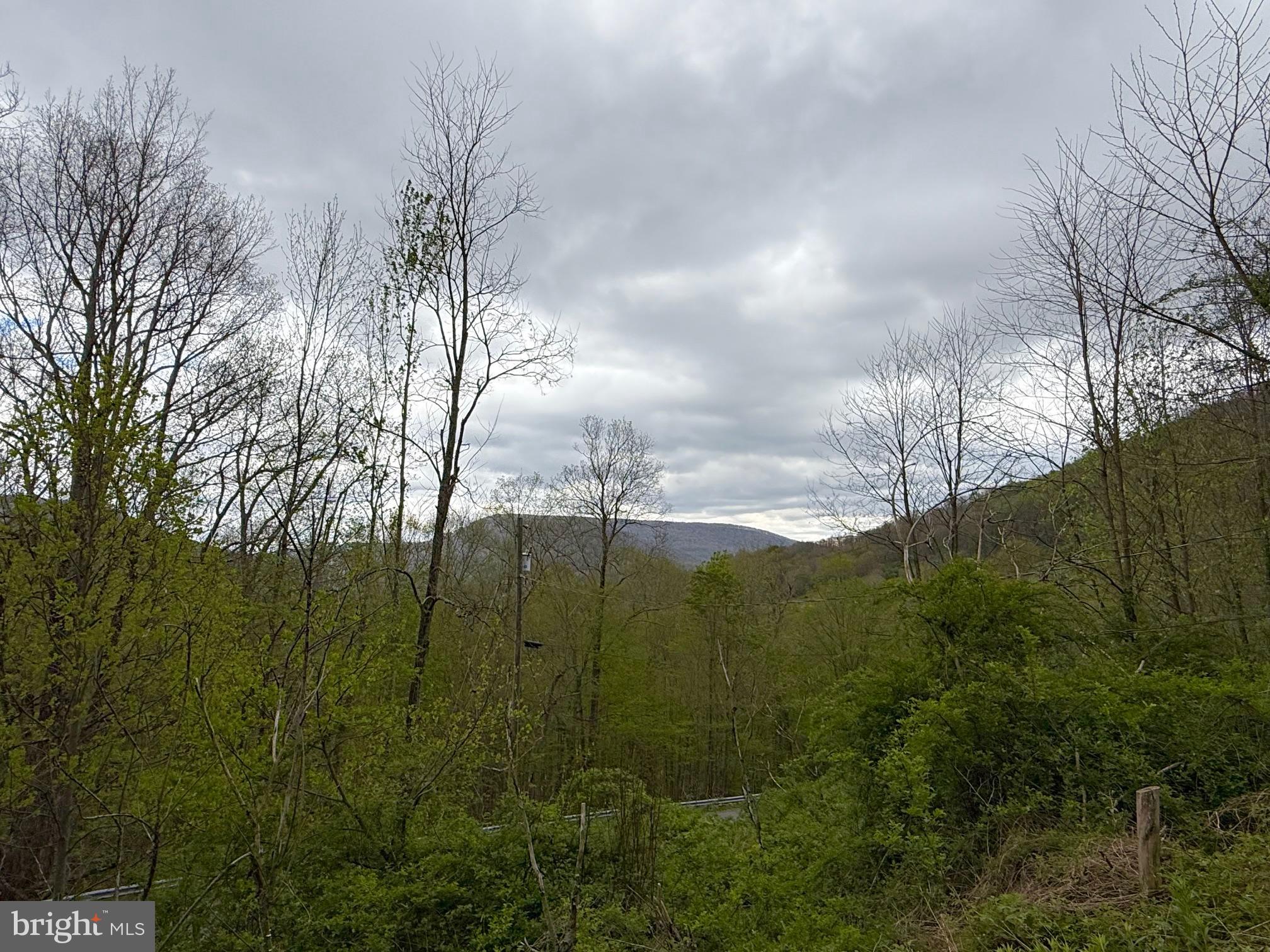 590 Short Cut Road Harman, WV 26270 - Photo 6 of 30
