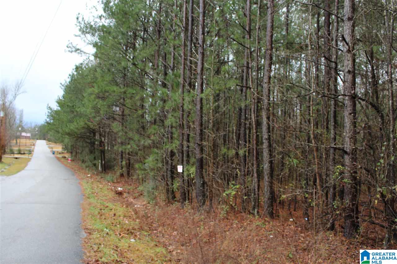 0 Fitzgerald Road Oxford, AL 36203 - Photo 19 of 44
