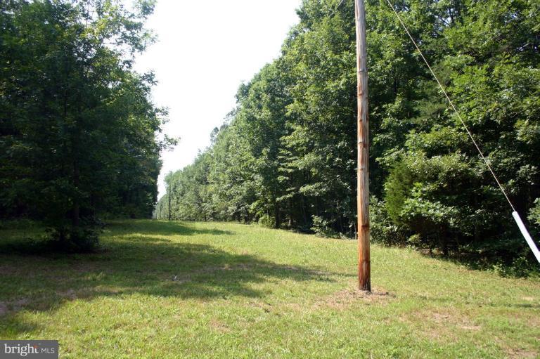 0 O'Keefe Road Bealeton, VA 22712 - Photo 3 of 4 a view of a field with a tree