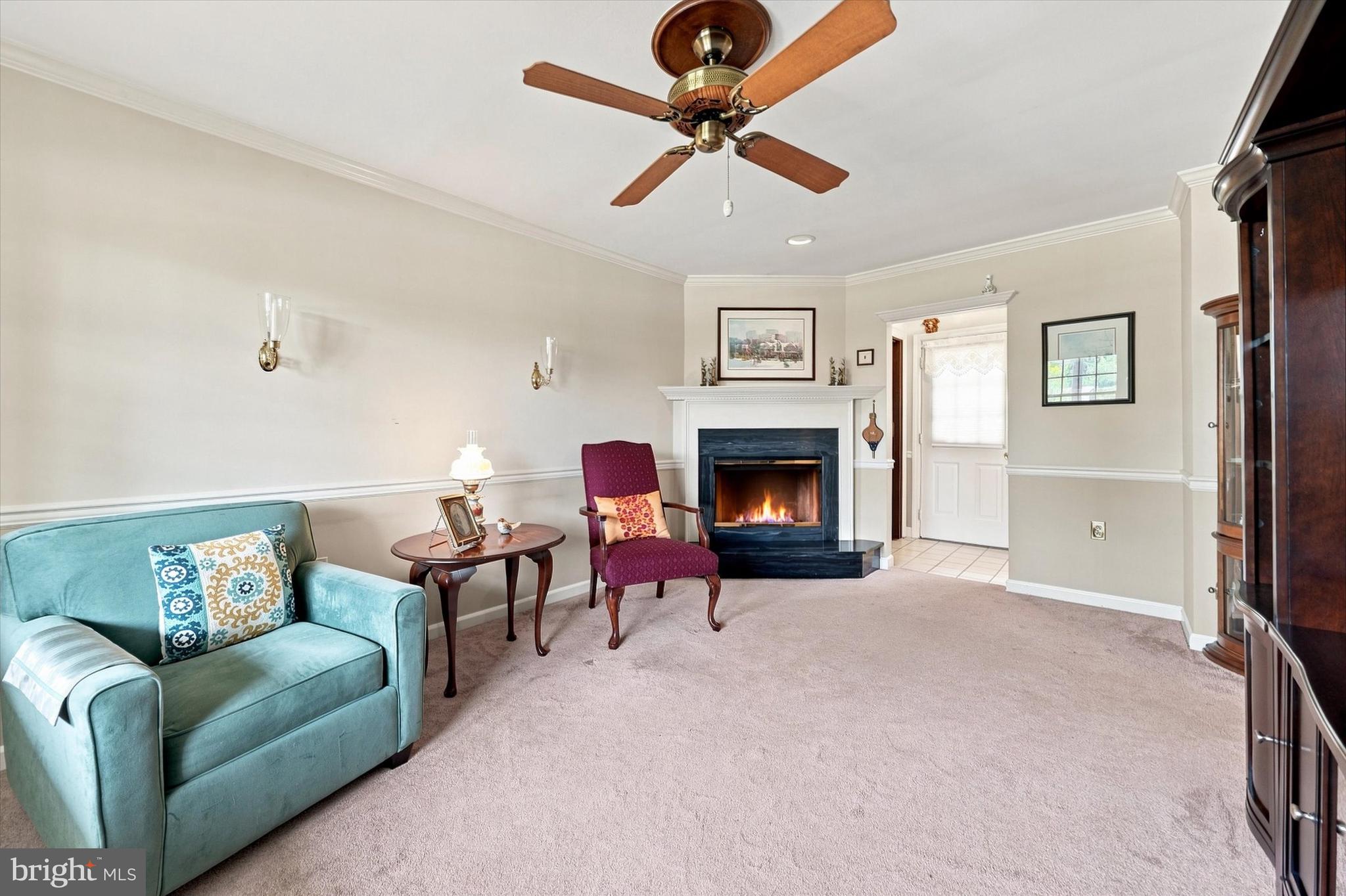 3 Ware Road Newark, DE 19711 - Photo 13 of 51 Gas Fireplace Adds Warmth & Ambiance